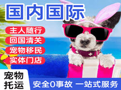 义勒力特空运国际宠物托运 【国